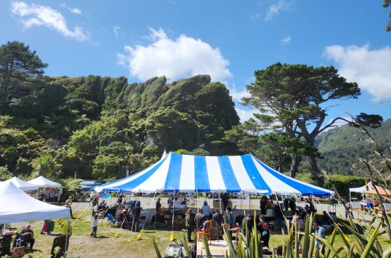 Markets in Buller: Local Finds, Seasonal Stalls, and Community Moments