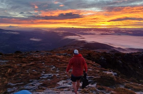 Walking in Buller: Slow Down and See More