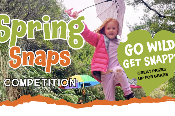 Spring Snaps Competition 2026